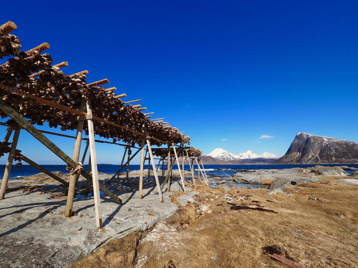 Lofoten Troll Point Villa Bostad Kültér fotó